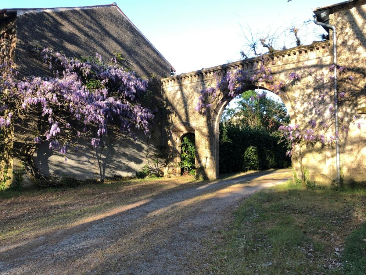 Chateau De La Mothe Saint-Sulpice-en-Pareds Bagian luar foto