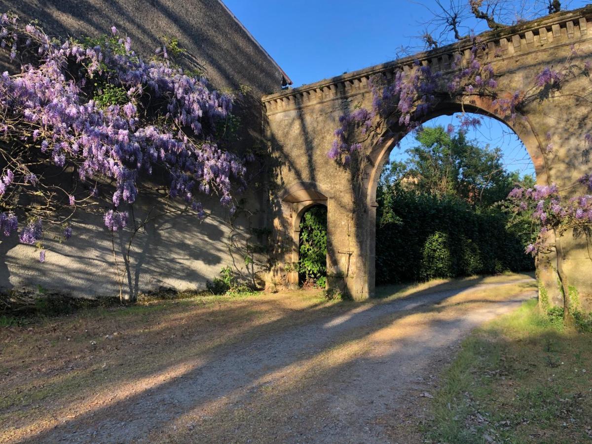 Chateau De La Mothe Saint-Sulpice-en-Pareds Bagian luar foto