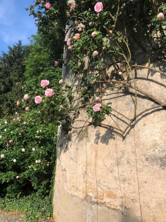 Chateau De La Mothe Saint-Sulpice-en-Pareds Bagian luar foto